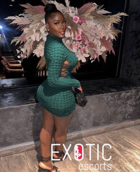 Elegant — 3