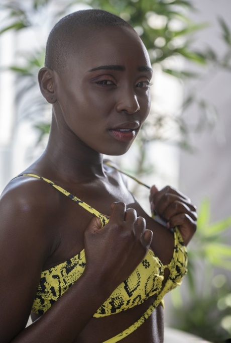 bald escorts Naija
